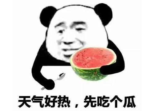 反吃瓜表情包