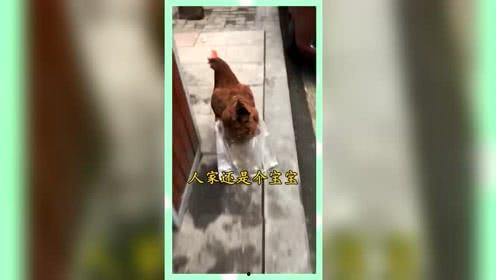 熟悉娱乐吃瓜群众